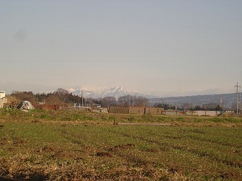 新潟方向山々(100104).jpg
